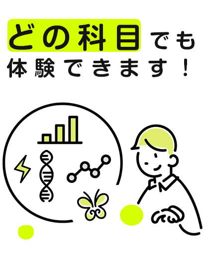 体験できます